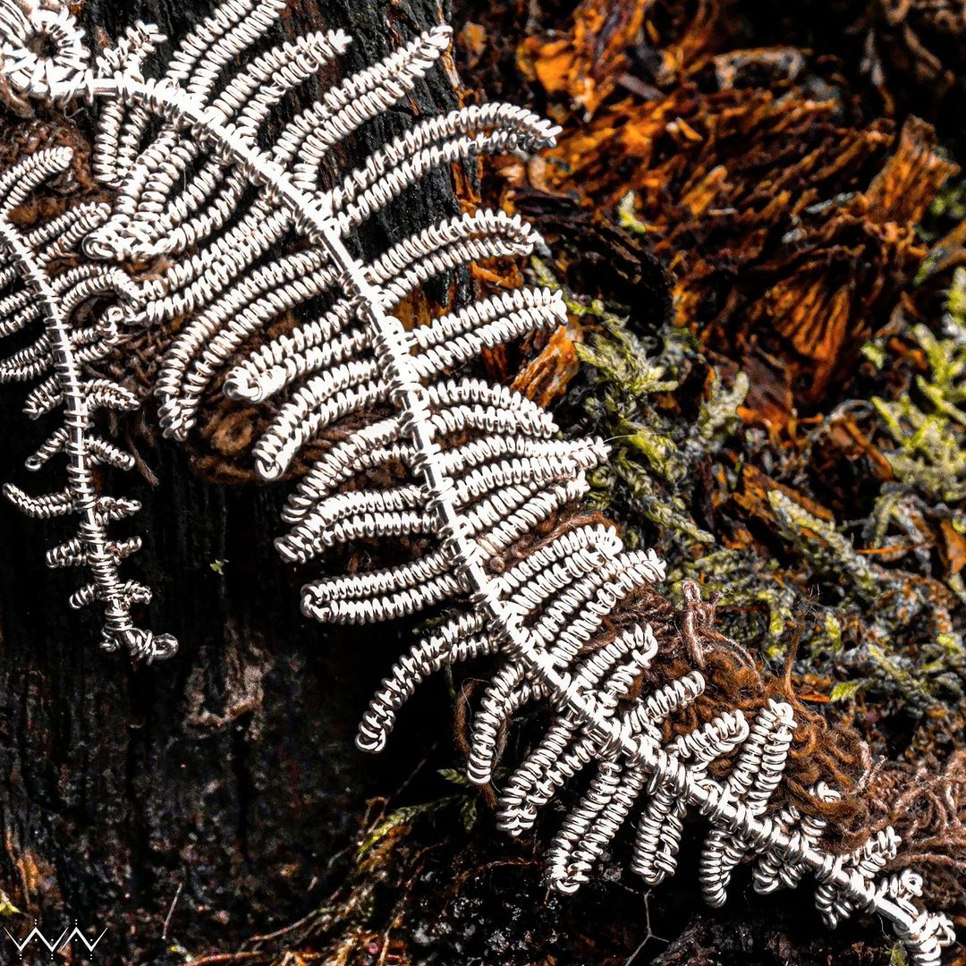 Ferns of Ice